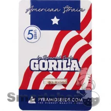 Gorila Feminised